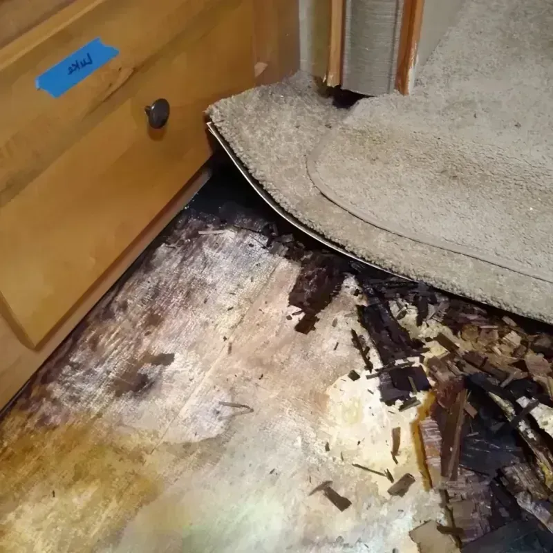 Wood Floor Water Damage in Petal, MS